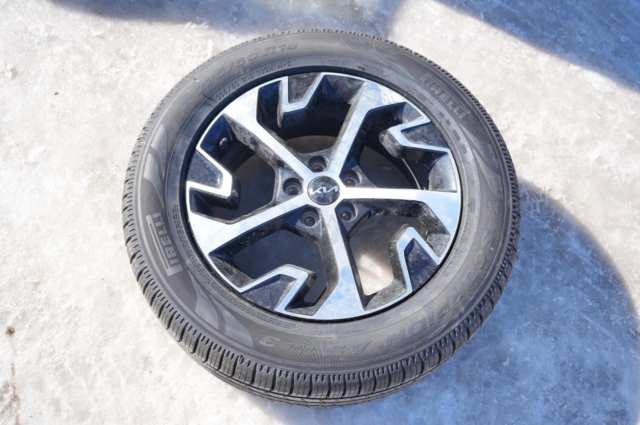 2023 Kia Sportage EX AWD Photo