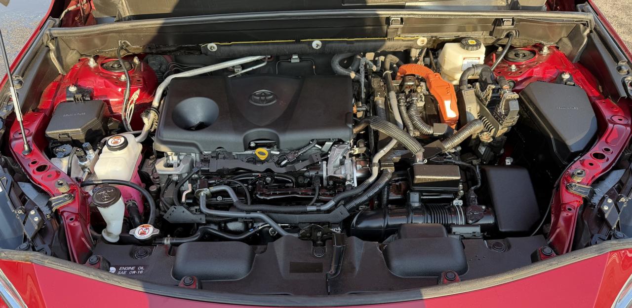 2021 Toyota Venza LIMITED AWD Photo