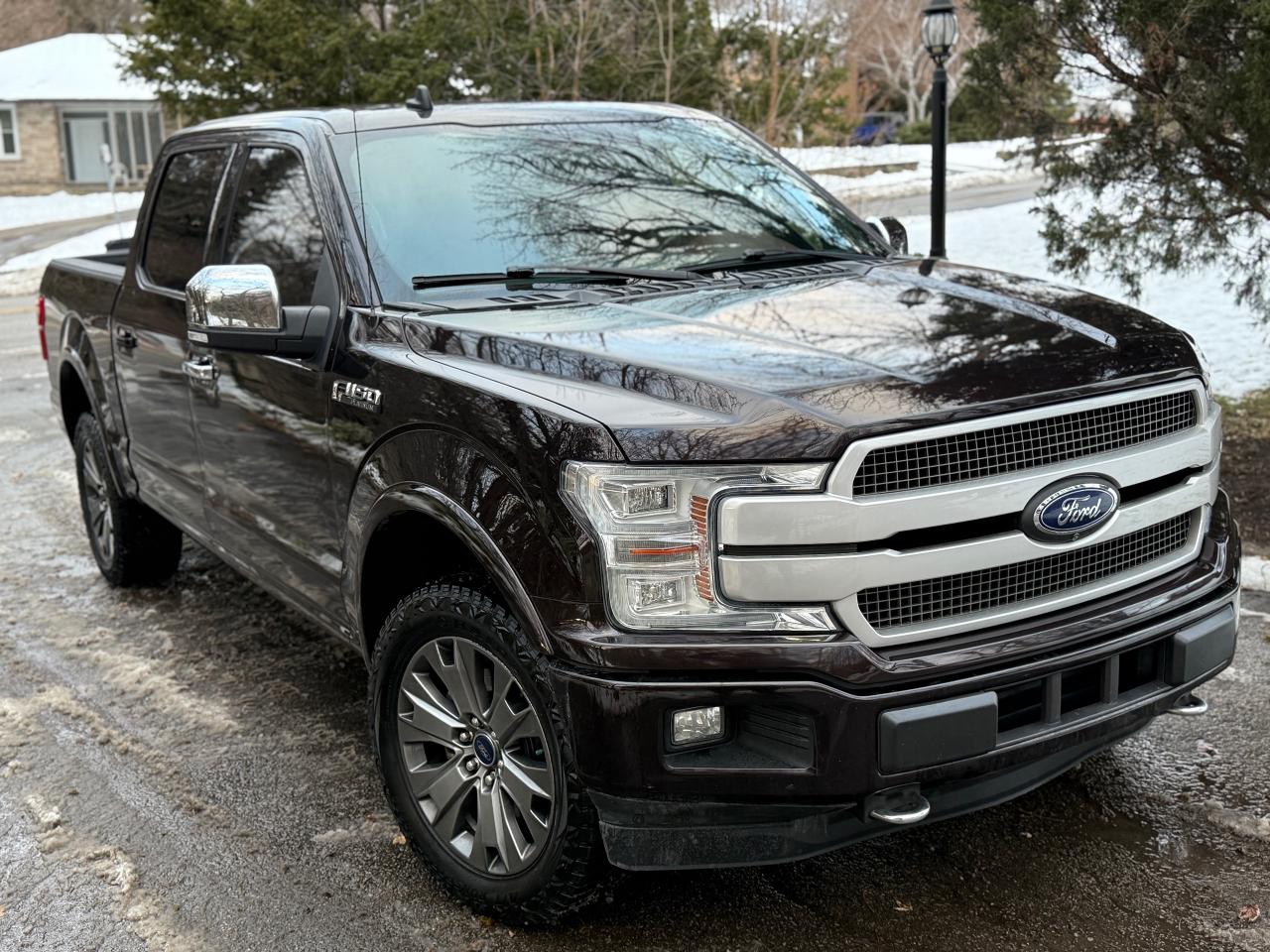 2019 Ford F-150 Platinum Photo