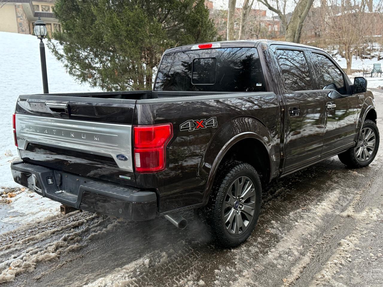 2019 Ford F-150 Platinum Photo