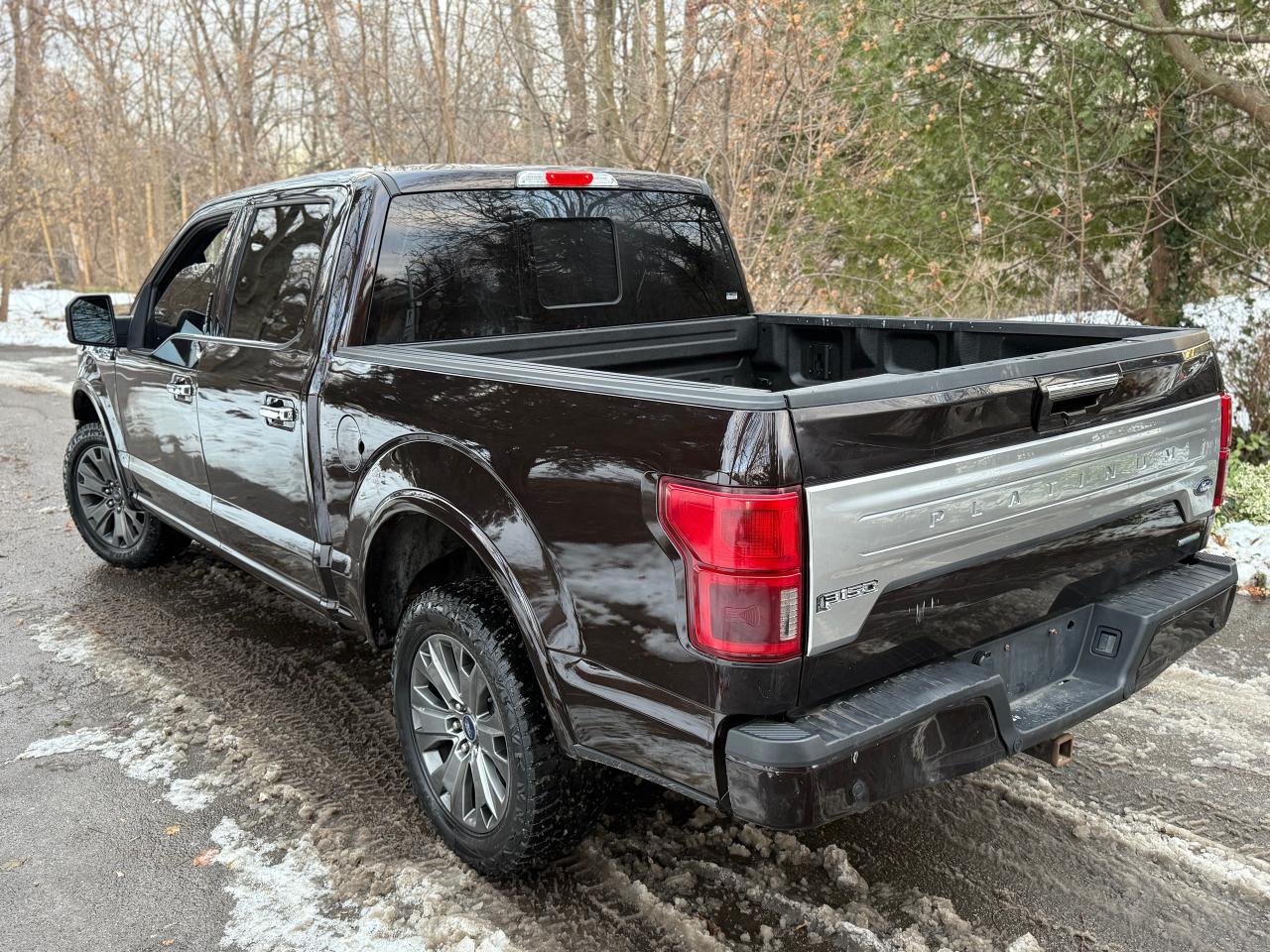 2019 Ford F-150 Platinum Photo2