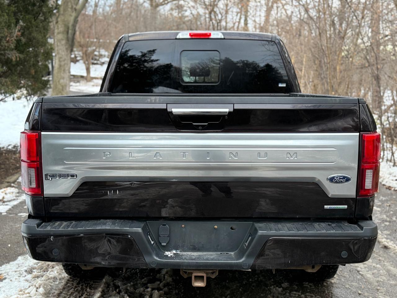 2019 Ford F-150 Platinum Photo4