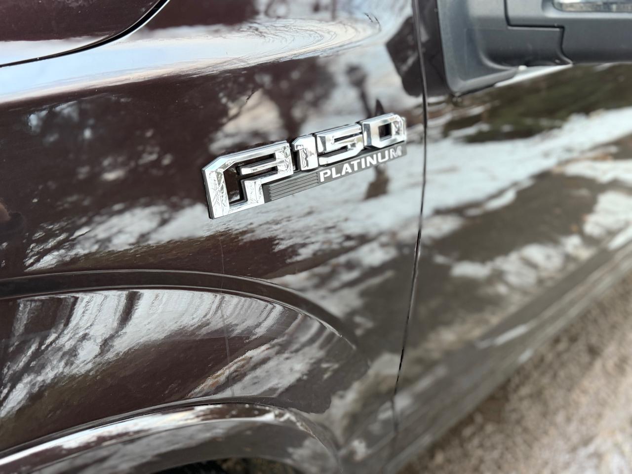 2019 Ford F-150 Platinum Photo