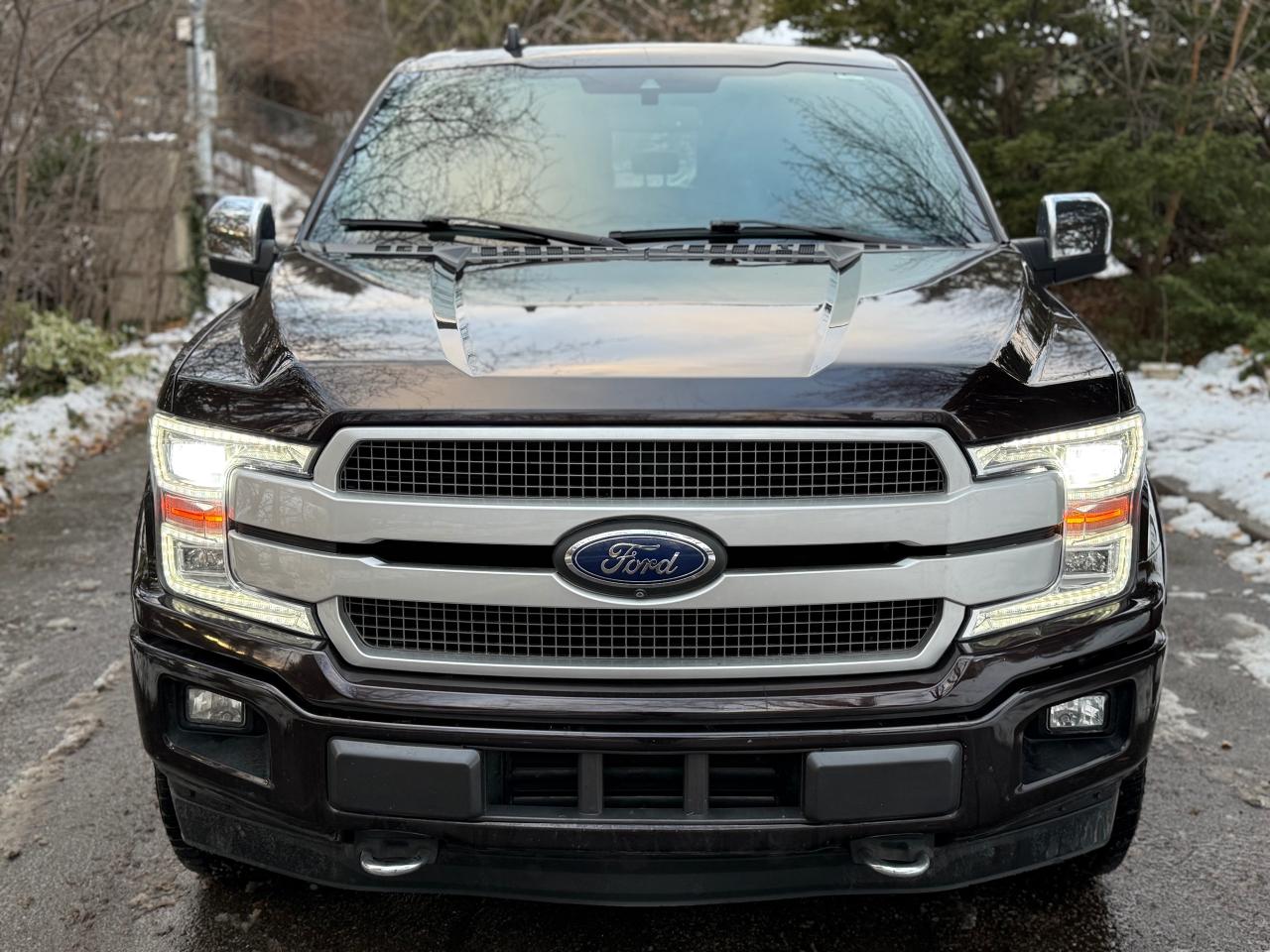 2019 Ford F-150 Platinum Photo