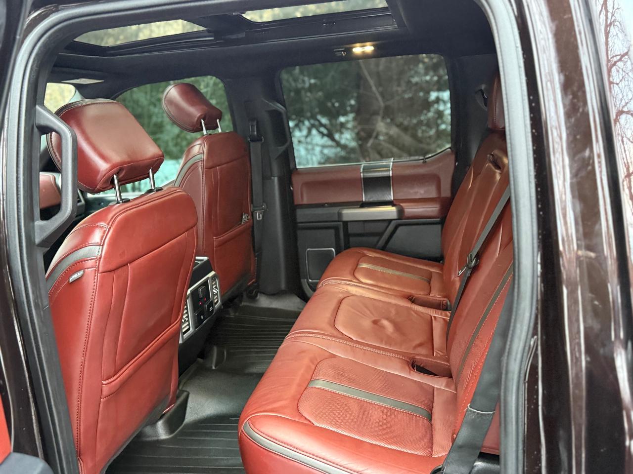 2019 Ford F-150 Platinum Photo