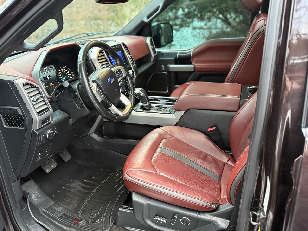 2019 Ford F-150 Platinum Photo