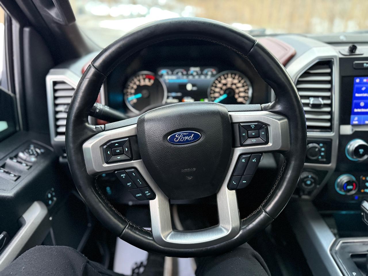 2019 Ford F-150 Platinum Photo