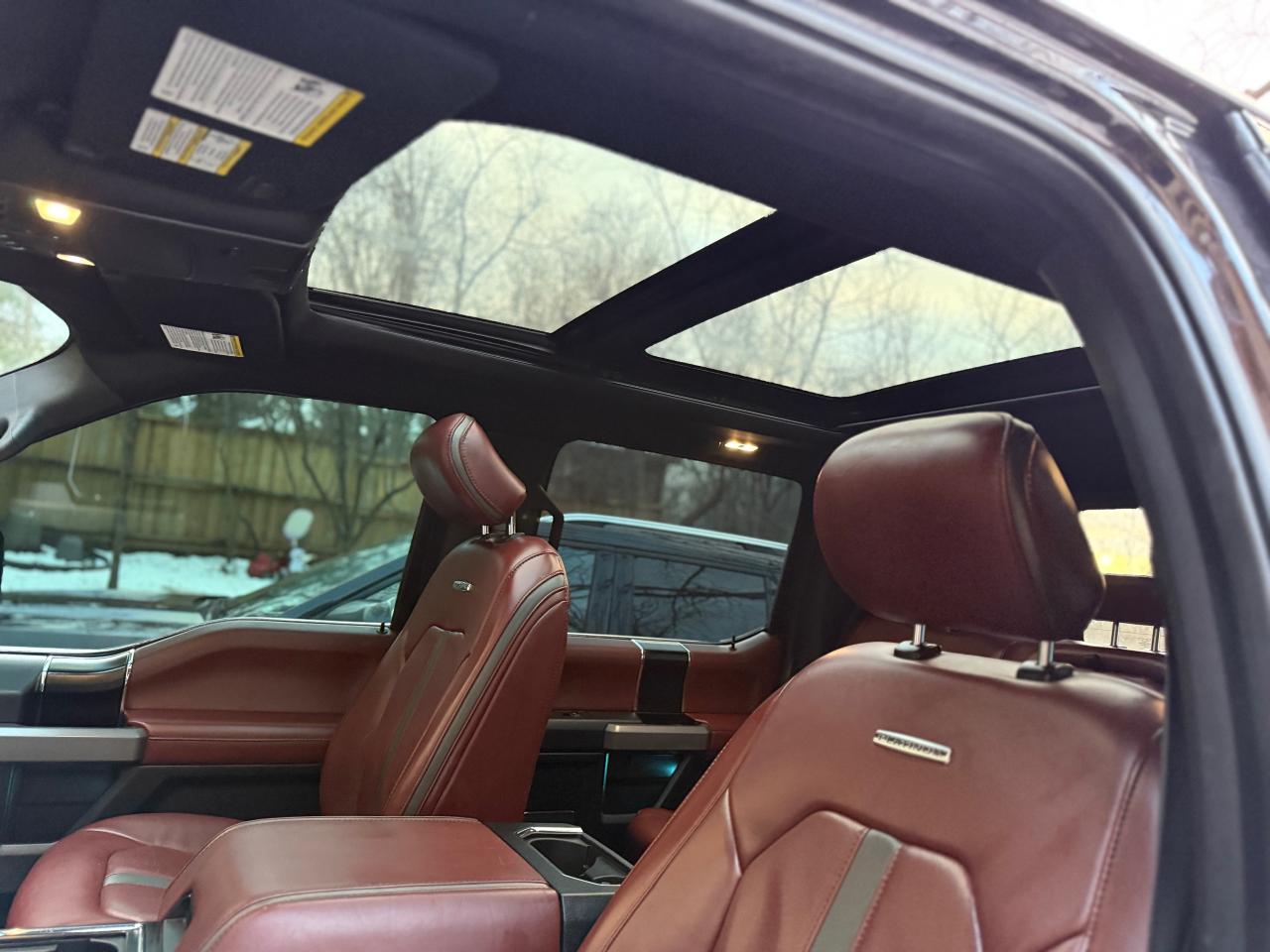 2019 Ford F-150 Platinum Photo