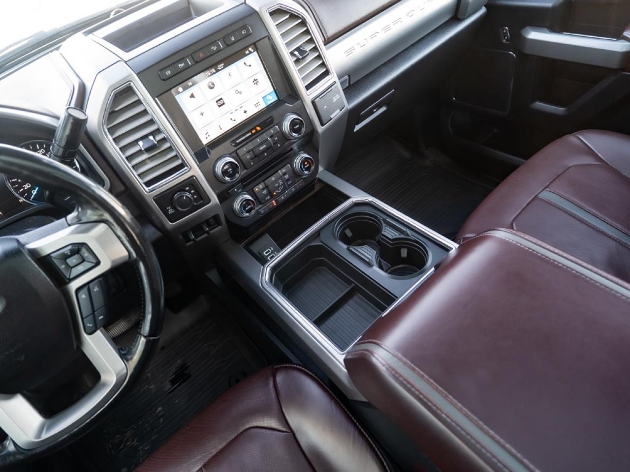 2017 Ford SUPER DUTY F-350 SRW Platinum Photo10