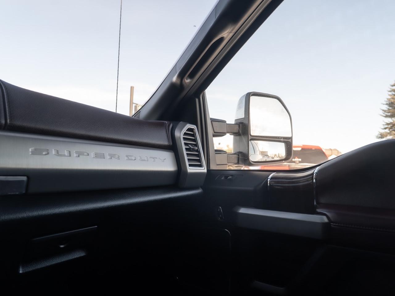 2017 Ford SUPER DUTY F-350 SRW Platinum Photo15