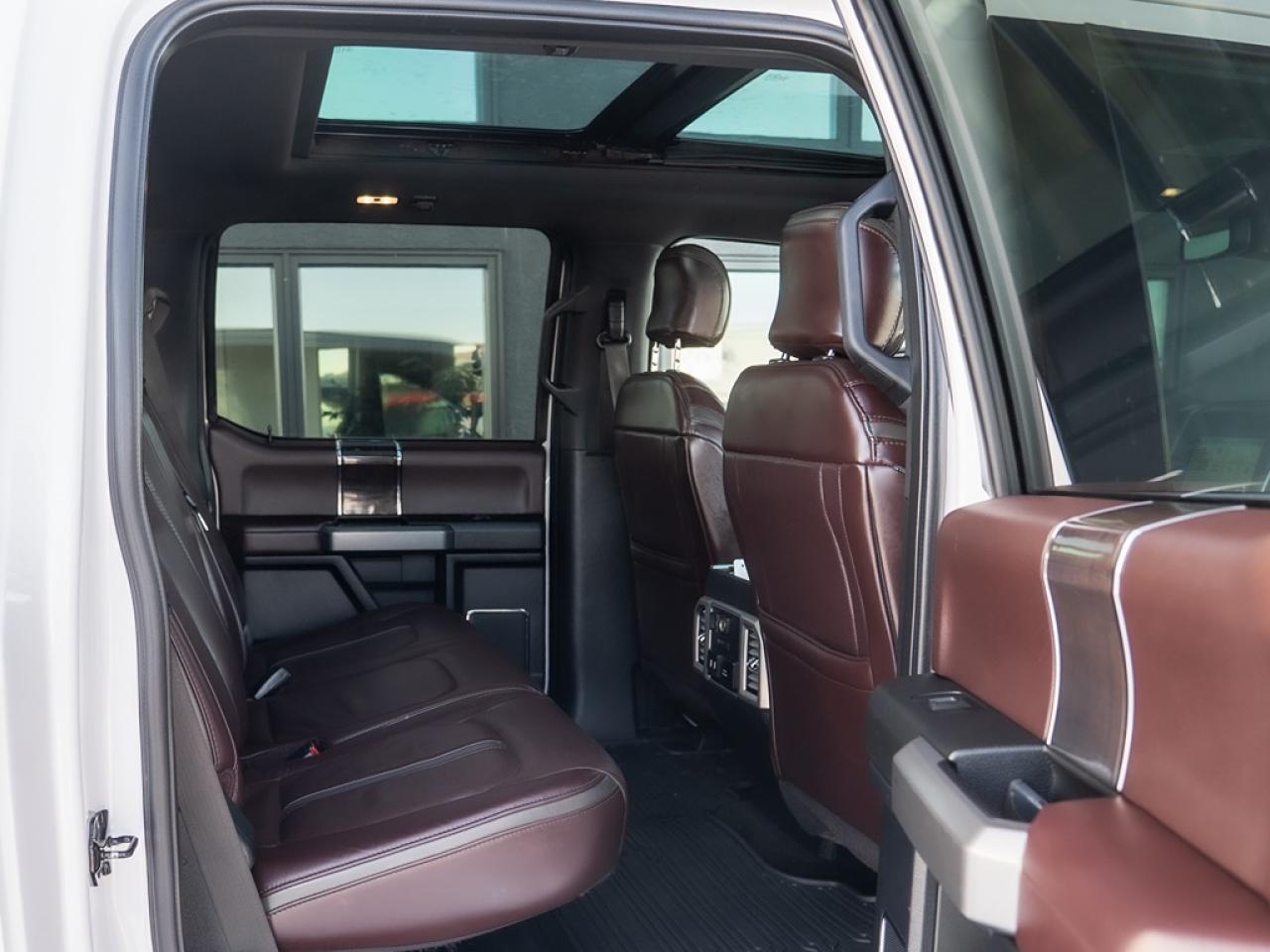 2017 Ford SUPER DUTY F-350 SRW Platinum Photo43