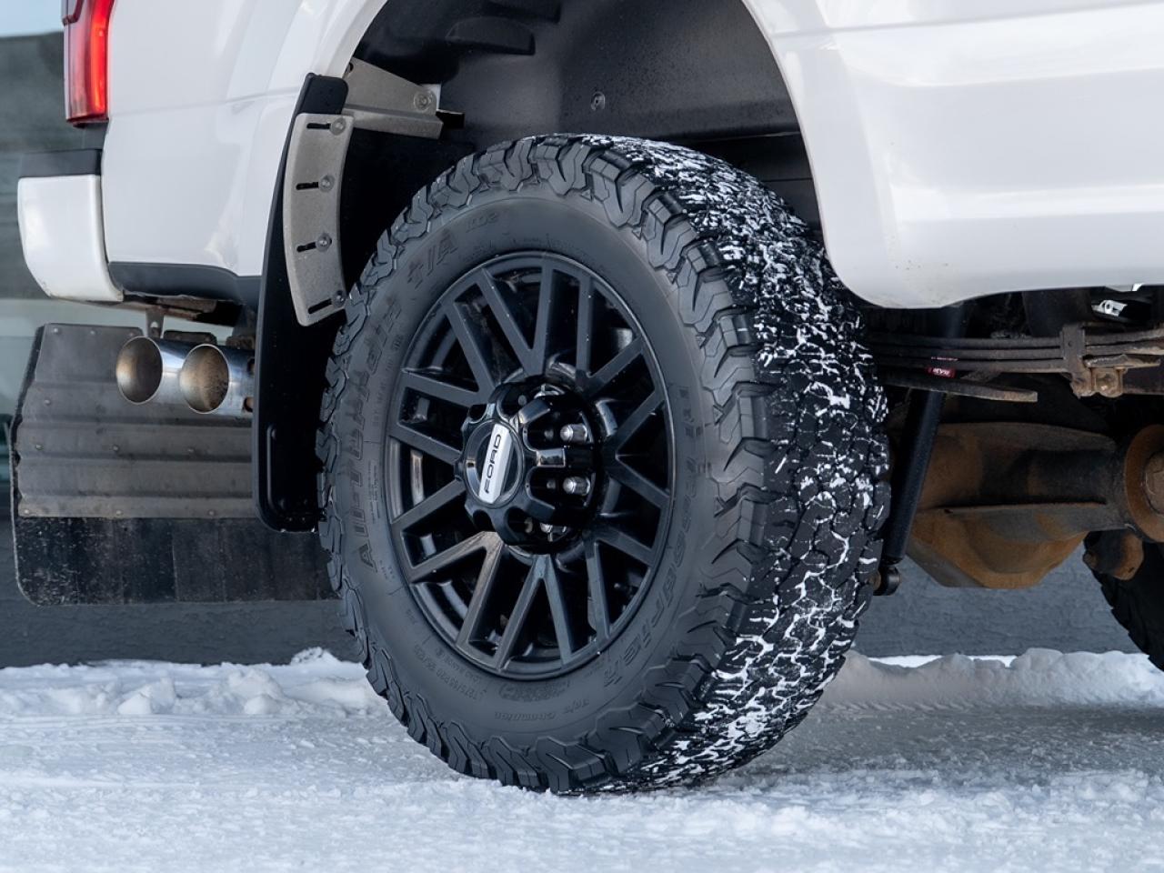 2017 Ford SUPER DUTY F-350 SRW Platinum Photo3