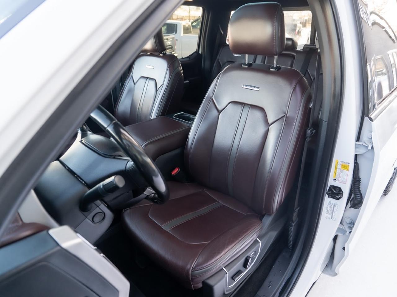 2017 Ford SUPER DUTY F-350 SRW Platinum Photo40