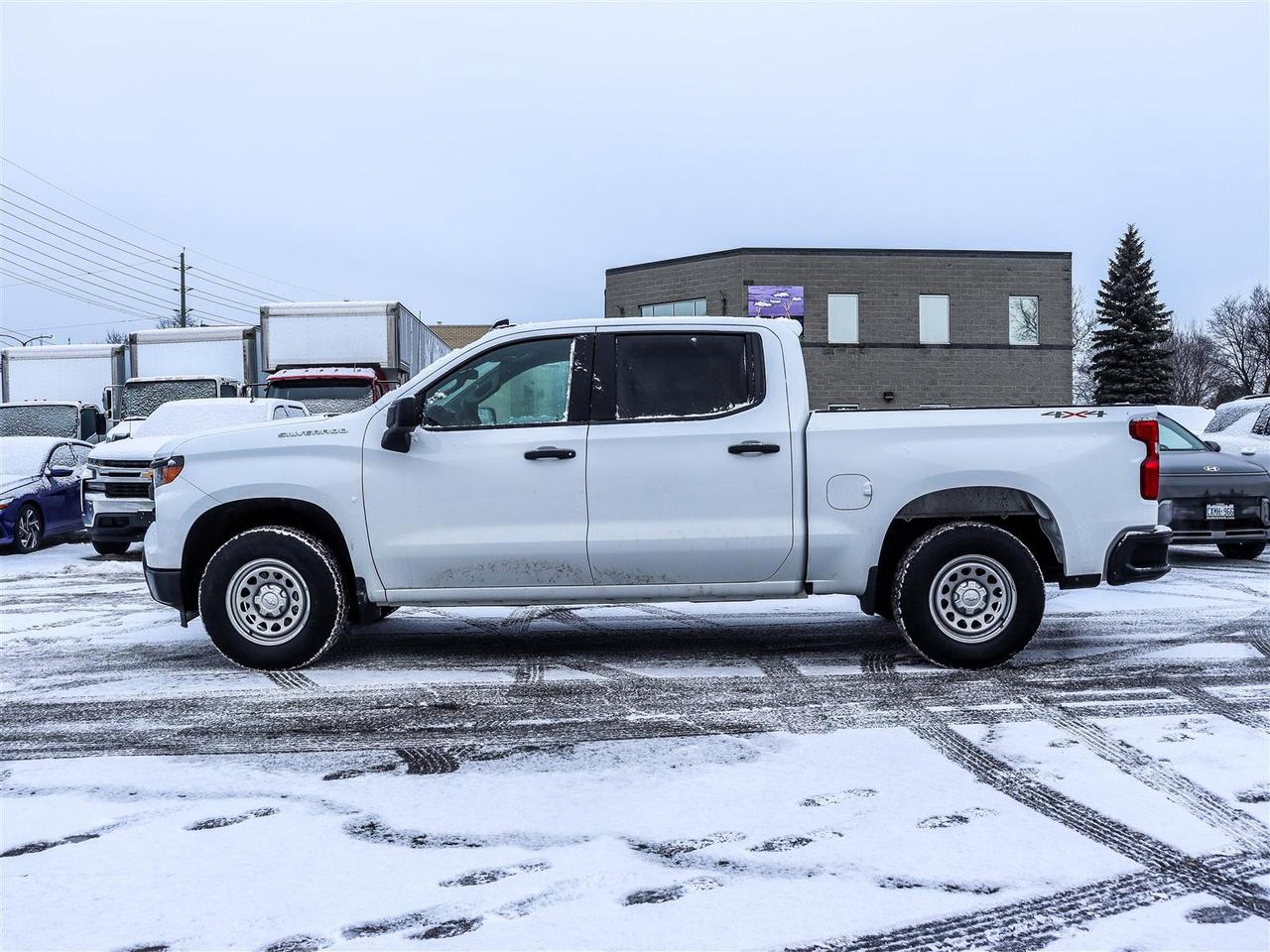 2025 Chevrolet Silverado 1500 W/T Photo
