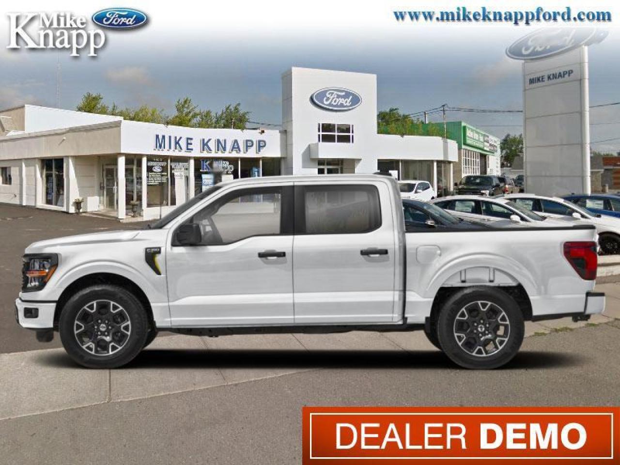 2025 Ford F-150 STX Photo