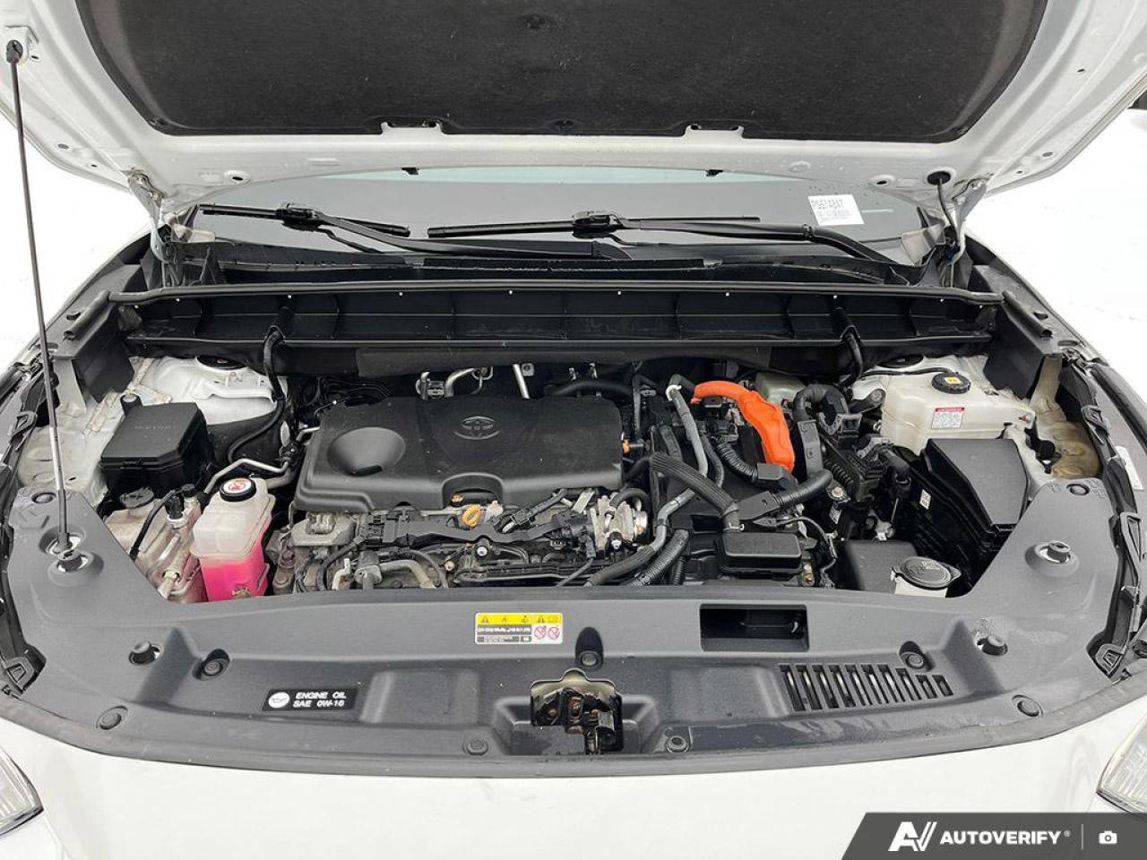 2023 Toyota Highlander Hybrid XLE Bronze Edition | Adaptive Cruise | Sunroof | Apple CarPlay & Android Auto | New Tires | Photo