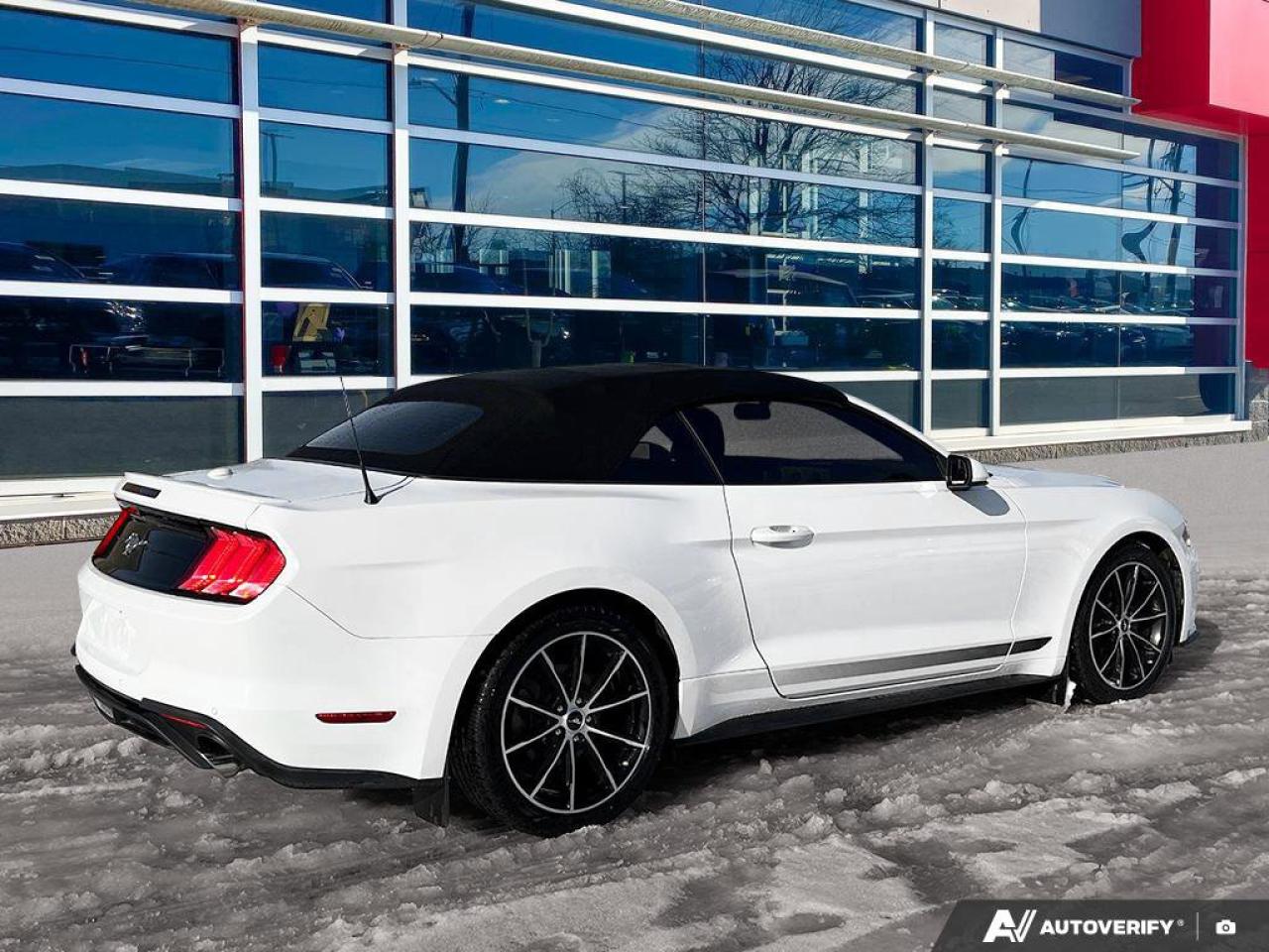 2020 Ford Mustang EcoBoost Convertible - Wheel & Stripe PKG | Auto | Reverse Camera | Summer Fun!! Photo