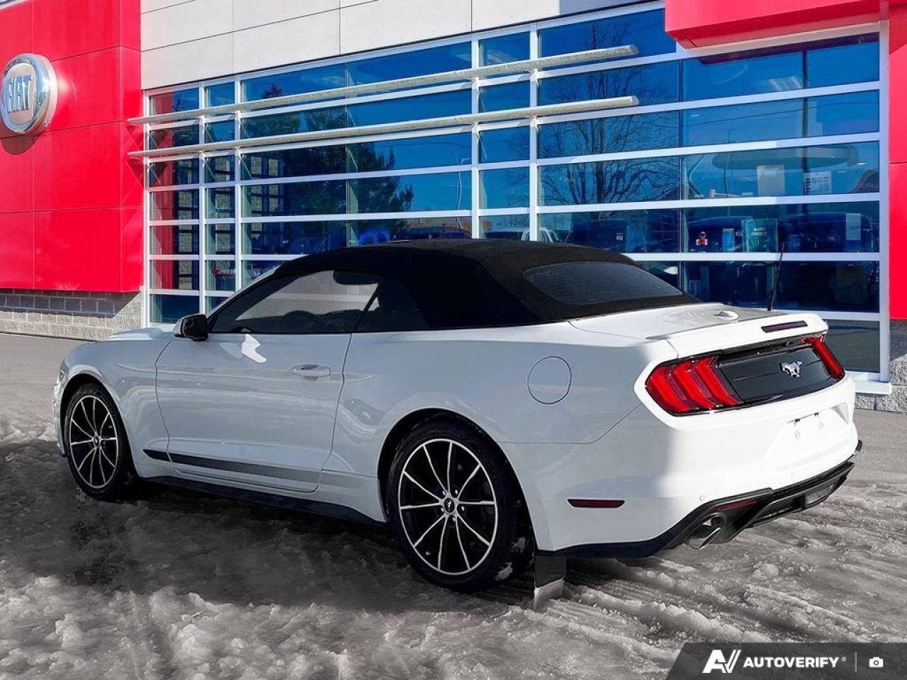 2020 Ford Mustang EcoBoost Convertible - Wheel & Stripe PKG | Auto | Reverse Camera | Summer Fun!! Photo