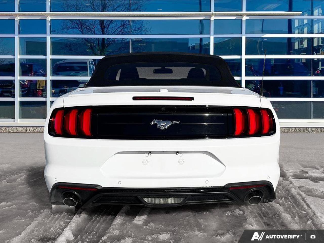 2020 Ford Mustang EcoBoost Convertible - Wheel & Stripe PKG | Auto | Reverse Camera | Summer Fun!! Photo3