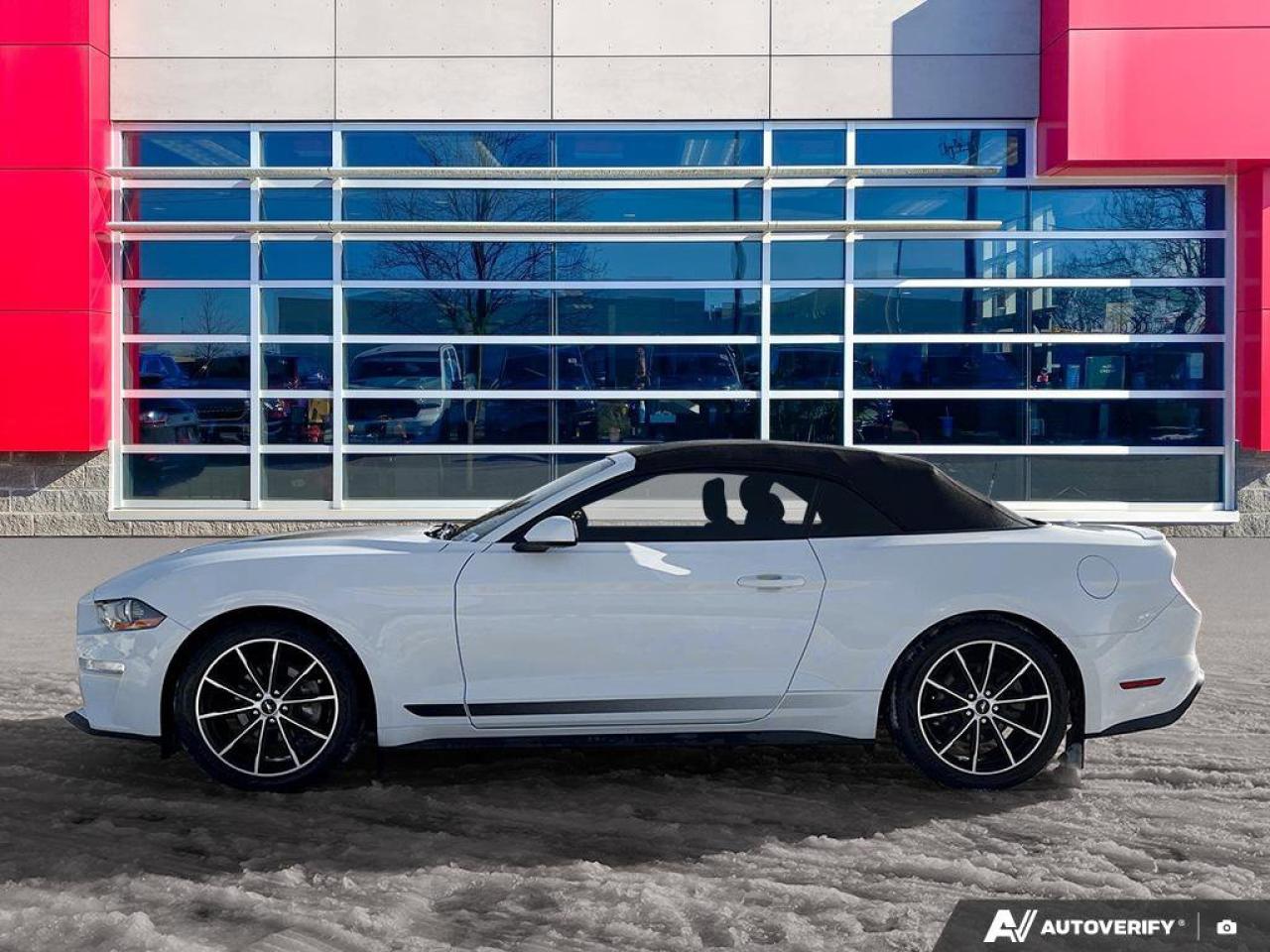 2020 Ford Mustang EcoBoost Convertible - Wheel & Stripe PKG | Auto | Reverse Camera | Summer Fun!! Photo