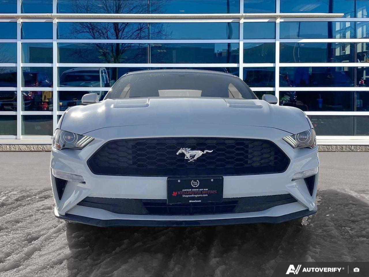 2020 Ford Mustang EcoBoost Convertible - Wheel & Stripe PKG | Auto | Reverse Camera | Summer Fun!! Photo