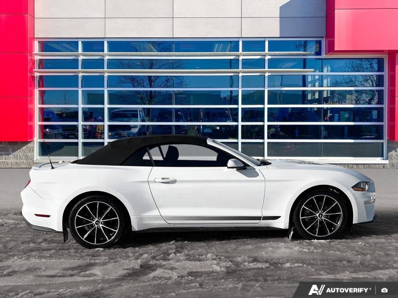 2020 Ford Mustang EcoBoost Convertible - Wheel & Stripe PKG | Auto | Reverse Camera | Summer Fun!! Photo