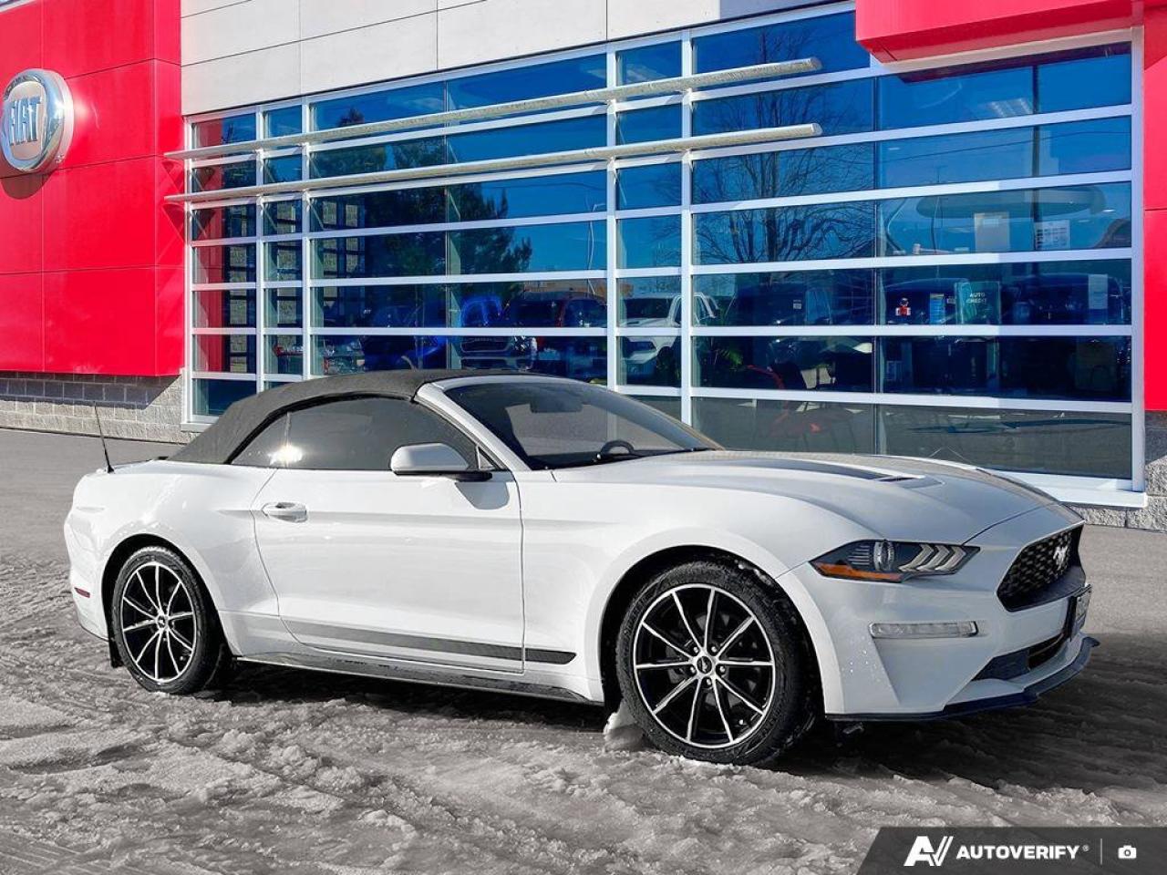 2020 Ford Mustang EcoBoost Convertible - Wheel & Stripe PKG | Auto | Reverse Camera | Summer Fun!! Photo