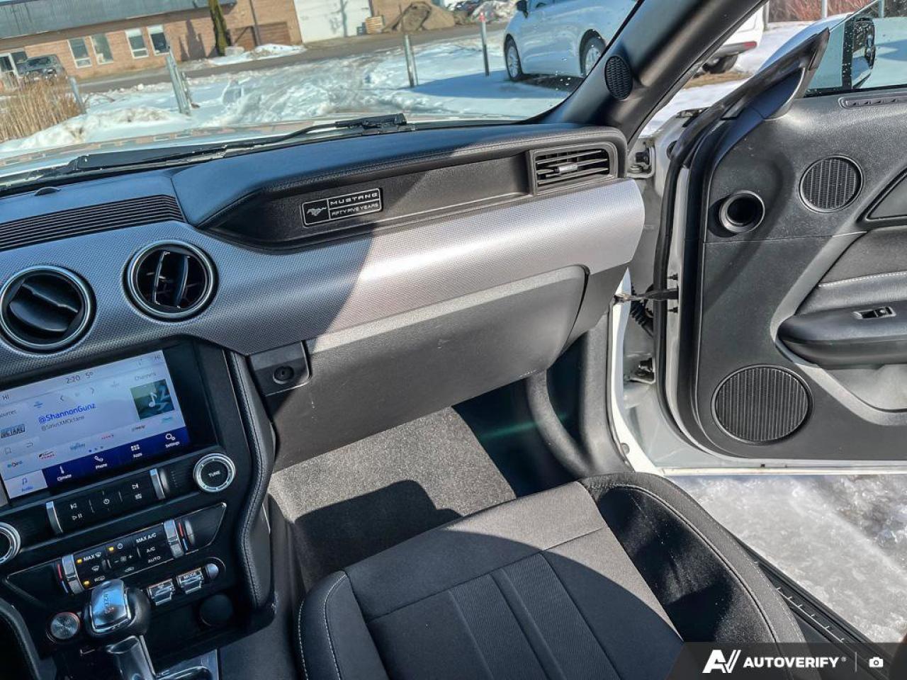 2020 Ford Mustang EcoBoost Convertible - Wheel & Stripe PKG | Auto | Reverse Camera | Summer Fun!! Photo