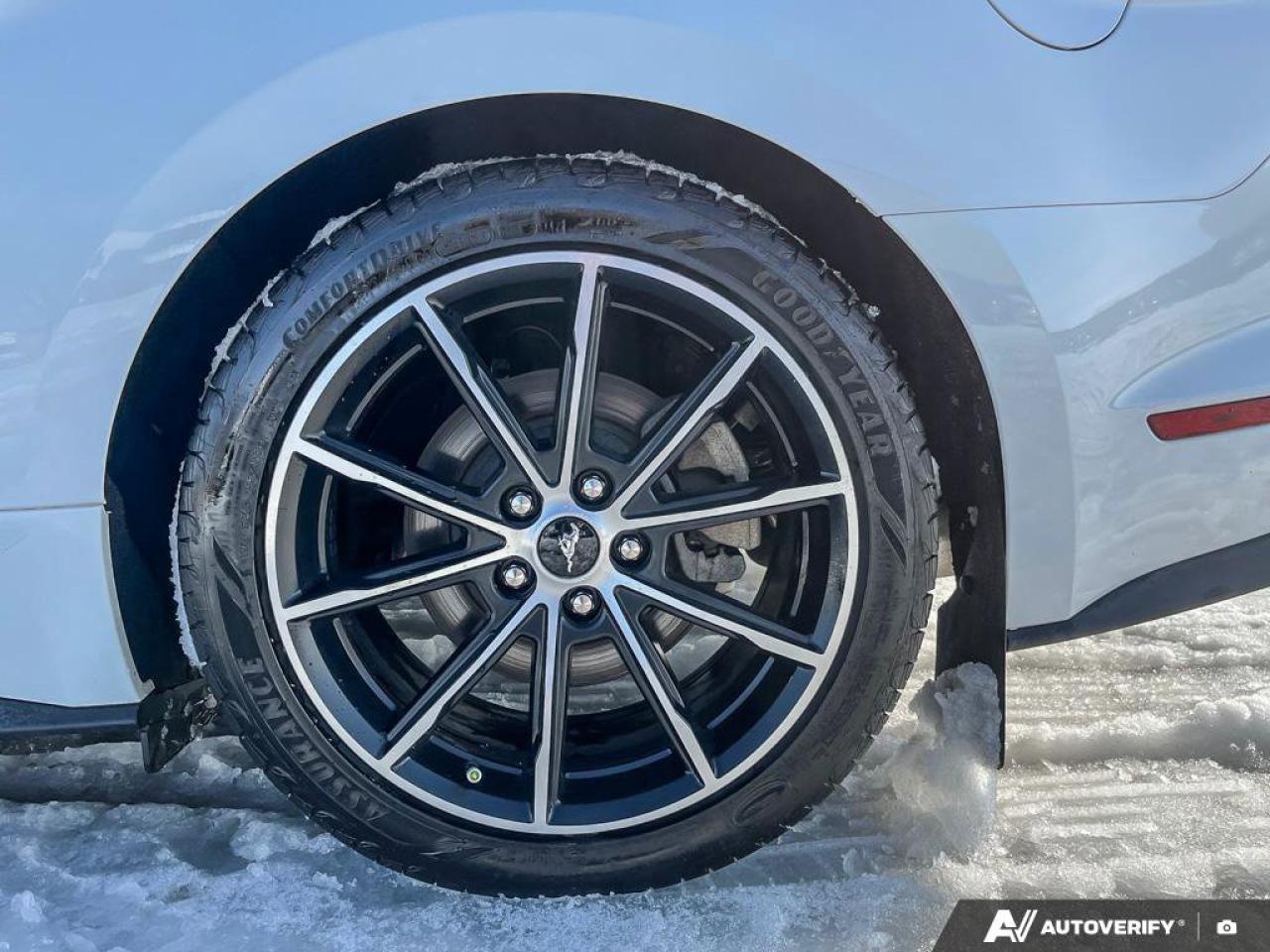 2020 Ford Mustang EcoBoost Convertible - Wheel & Stripe PKG | Auto | Reverse Camera | Summer Fun!! Photo