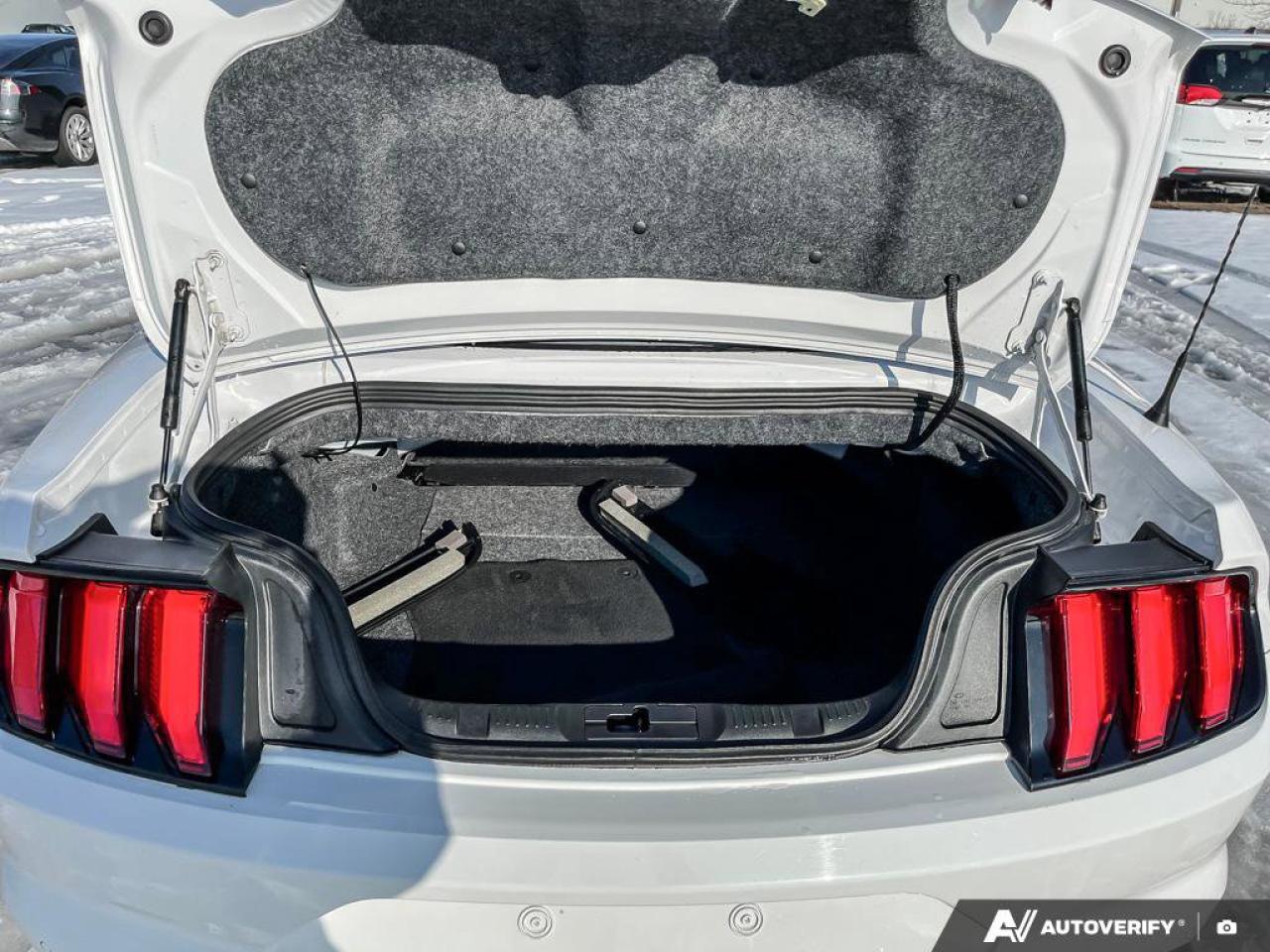 2020 Ford Mustang EcoBoost Convertible - Wheel & Stripe PKG | Auto | Reverse Camera | Summer Fun!! Photo