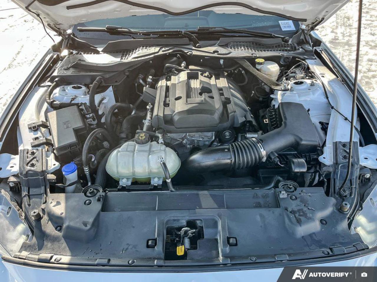 2020 Ford Mustang EcoBoost Convertible - Wheel & Stripe PKG | Auto | Reverse Camera | Summer Fun!! Photo