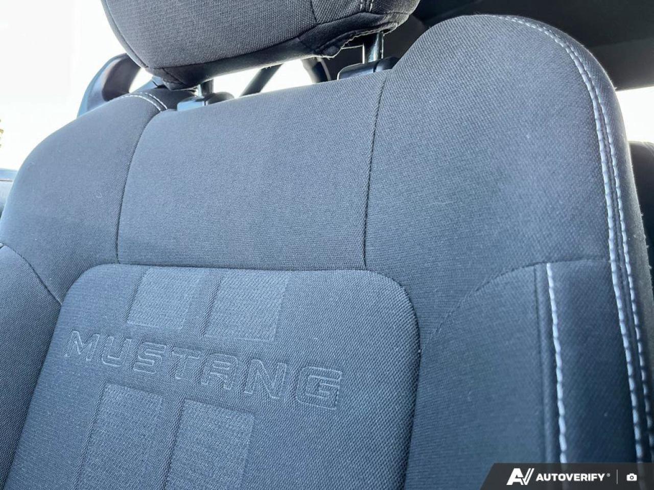 2020 Ford Mustang EcoBoost Convertible - Wheel & Stripe PKG | Auto | Reverse Camera | Summer Fun!! Photo