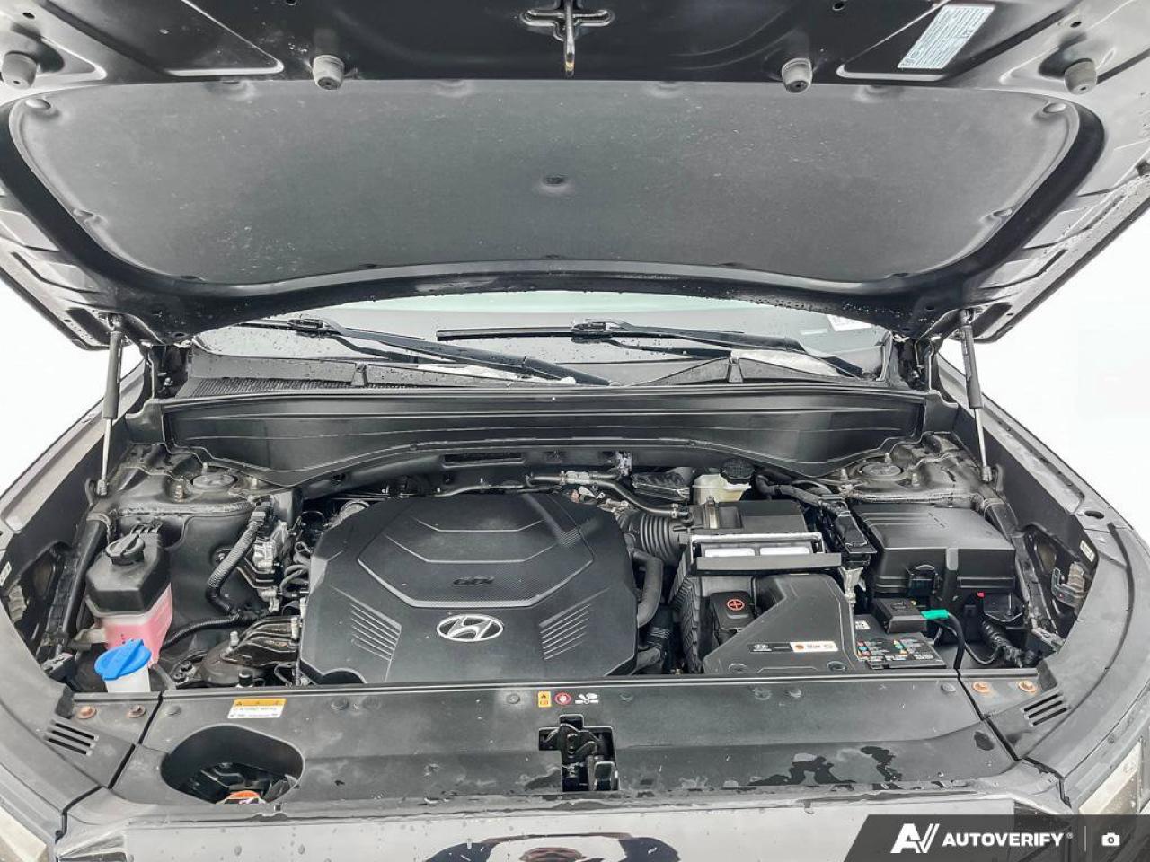 2023 Hyundai PALISADE Urban | Leather | Sunroof | Nav | 360 Camera | Cooled + Heated Seats | Adaptive Cruise | Photo