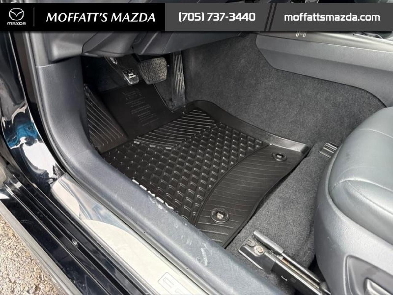 2023 Toyota Camry SE Photo