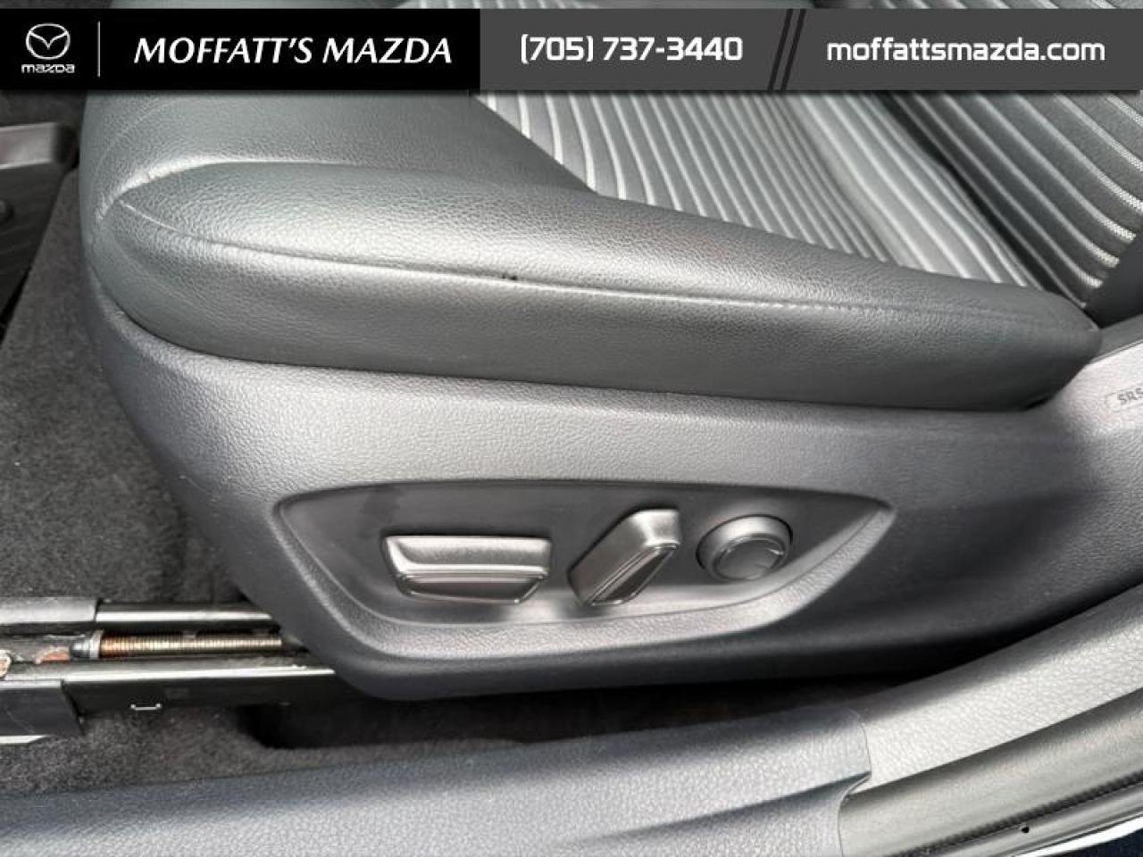 2023 Toyota Camry SE Photo