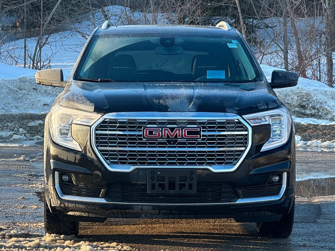 2024 GMC Terrain Denali Photo4