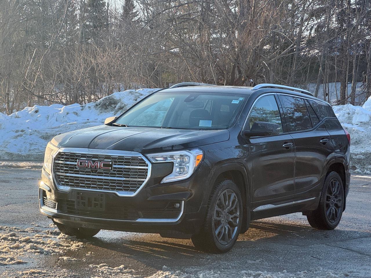 2024 GMC Terrain Denali Photo