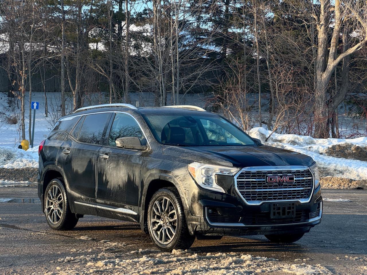 2024 GMC Terrain Denali Photo