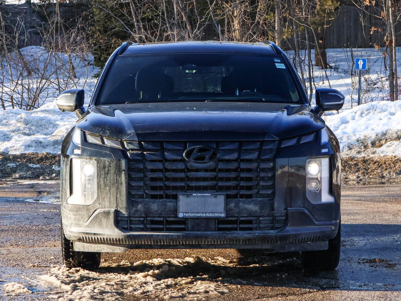 2025 Hyundai PALISADE Ultimate Calligraphy Night Photo