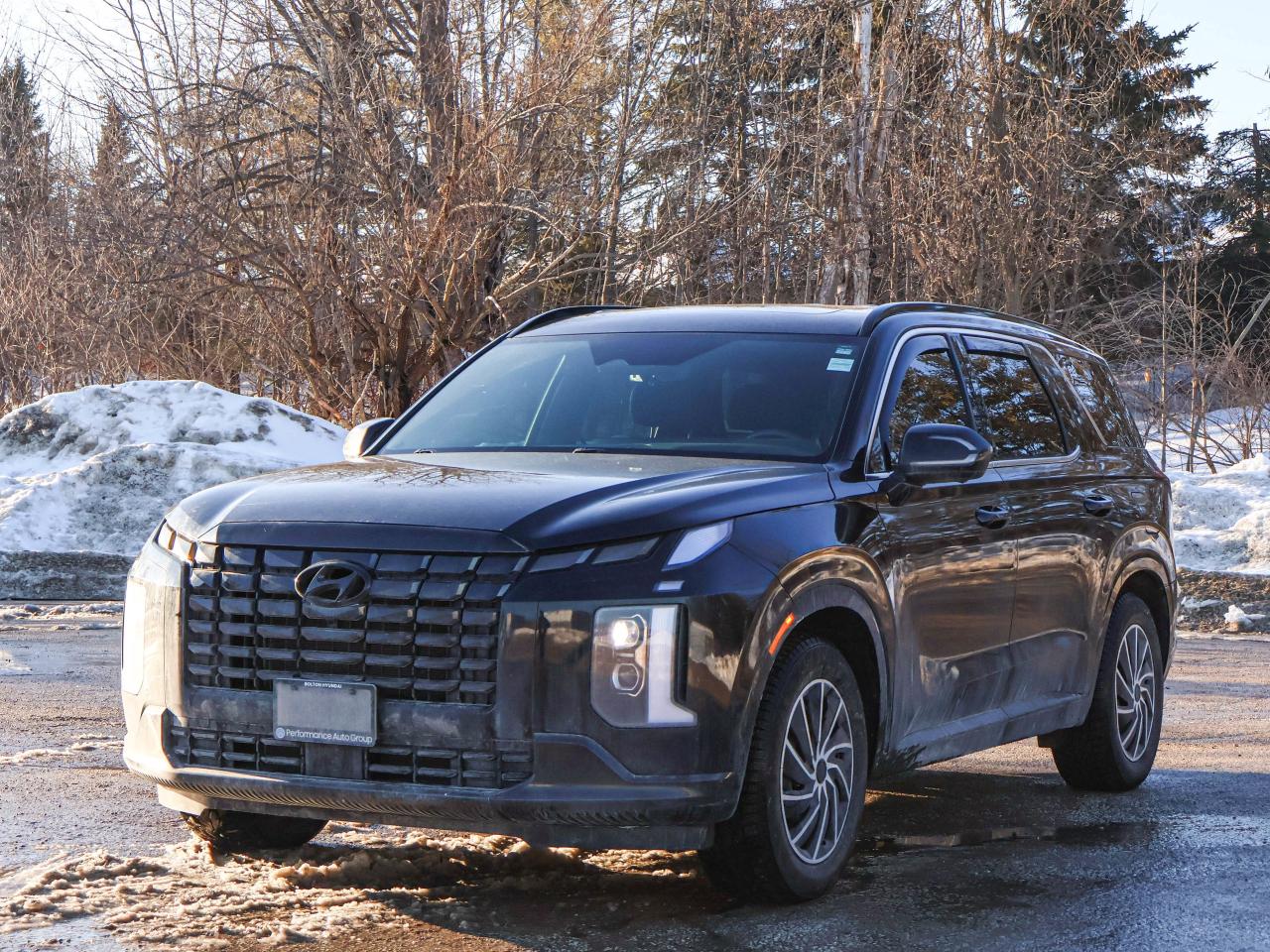 2025 Hyundai PALISADE Ultimate Calligraphy Night Photo