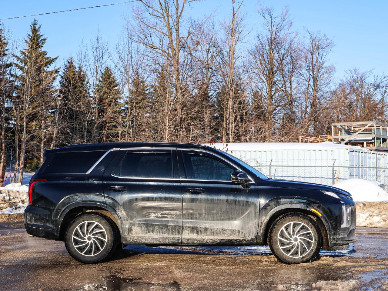 2025 Hyundai PALISADE Ultimate Calligraphy Night Photo