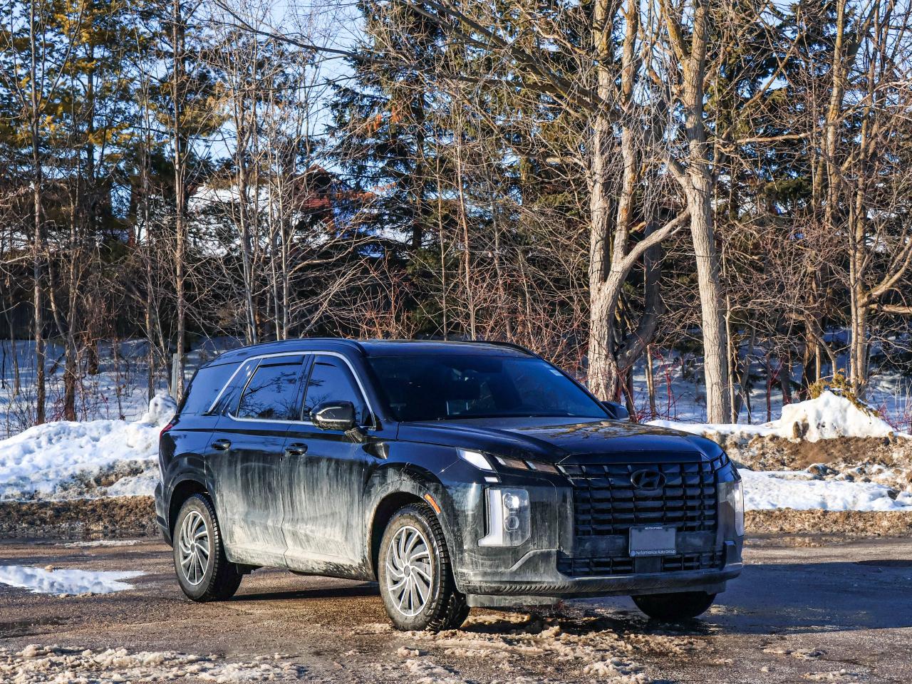 2025 Hyundai PALISADE Ultimate Calligraphy Night Photo