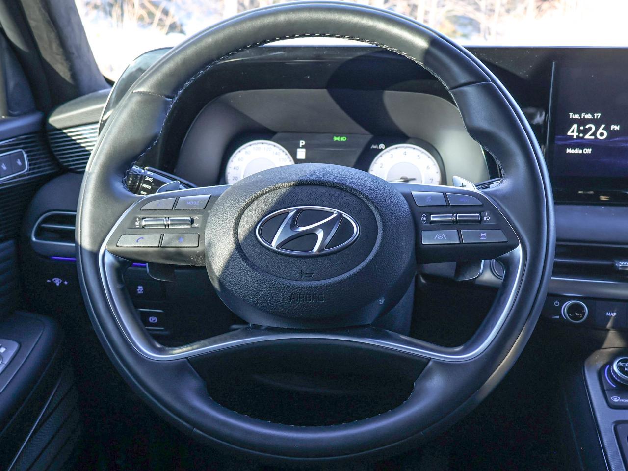 2025 Hyundai PALISADE Ultimate Calligraphy Night Photo