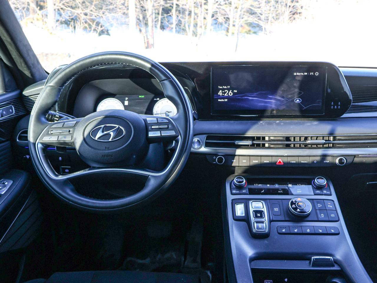 2025 Hyundai PALISADE Ultimate Calligraphy Night Photo