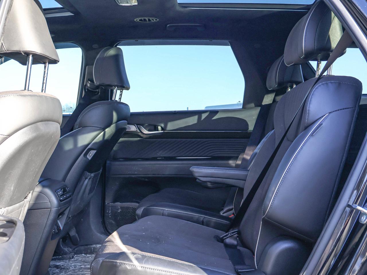 2025 Hyundai PALISADE Ultimate Calligraphy Night Photo