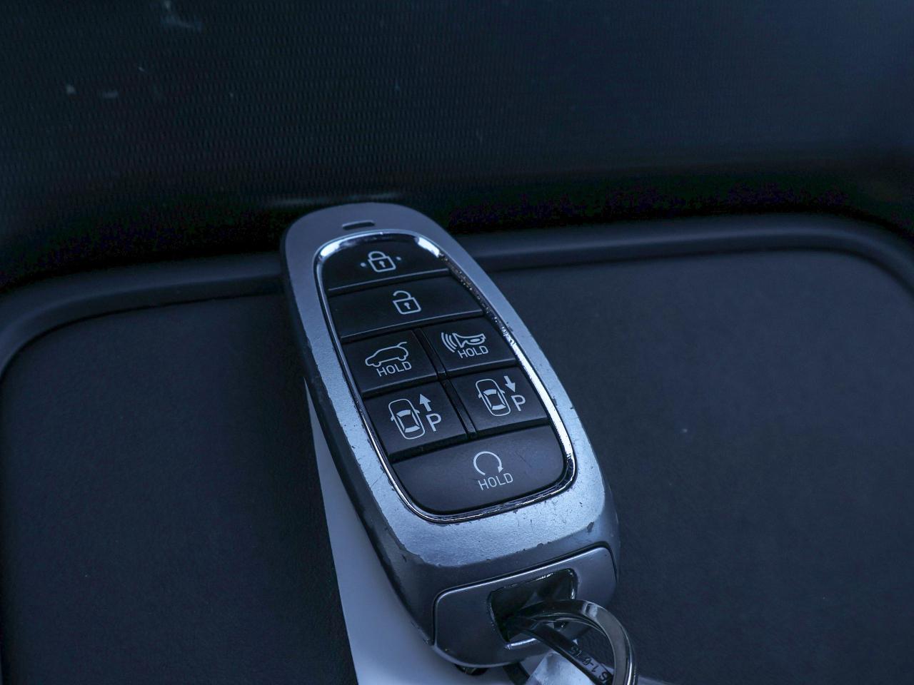 2025 Hyundai PALISADE Ultimate Calligraphy Night Photo