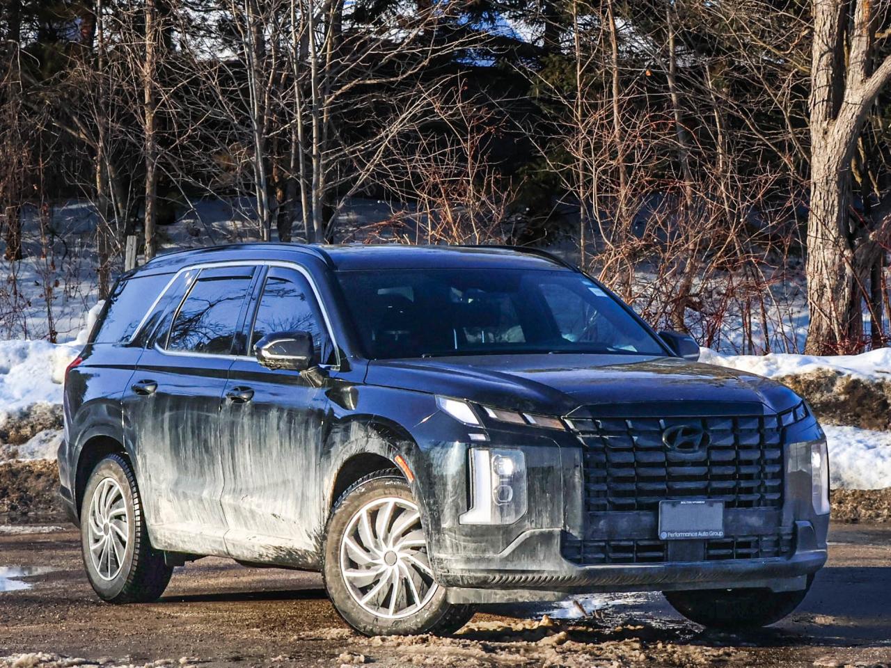 2025 Hyundai PALISADE Ultimate Calligraphy Night Photo