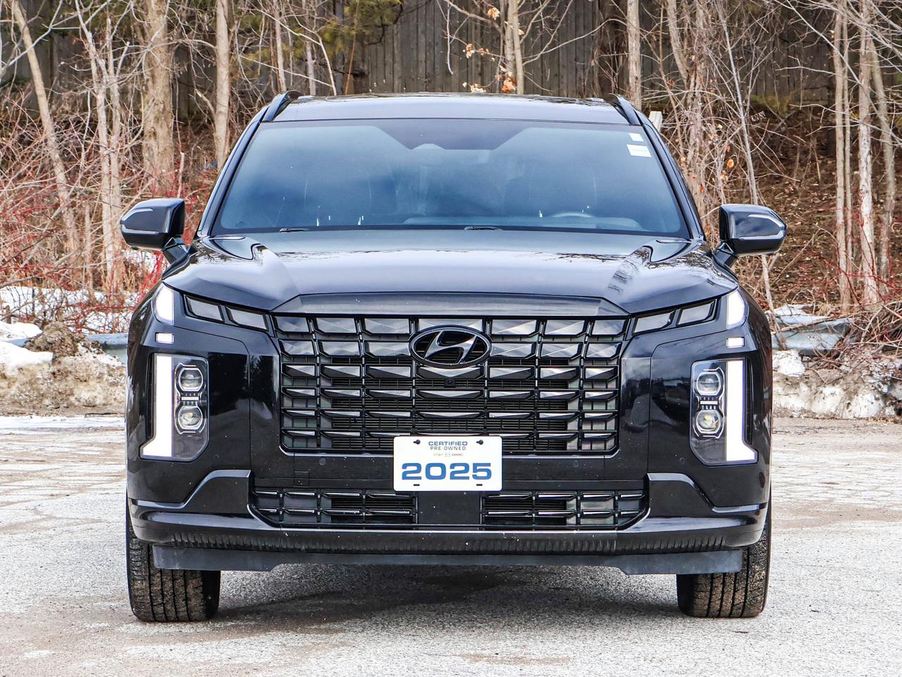 2025 Hyundai PALISADE Ultimate Calligraphy Night Photo4