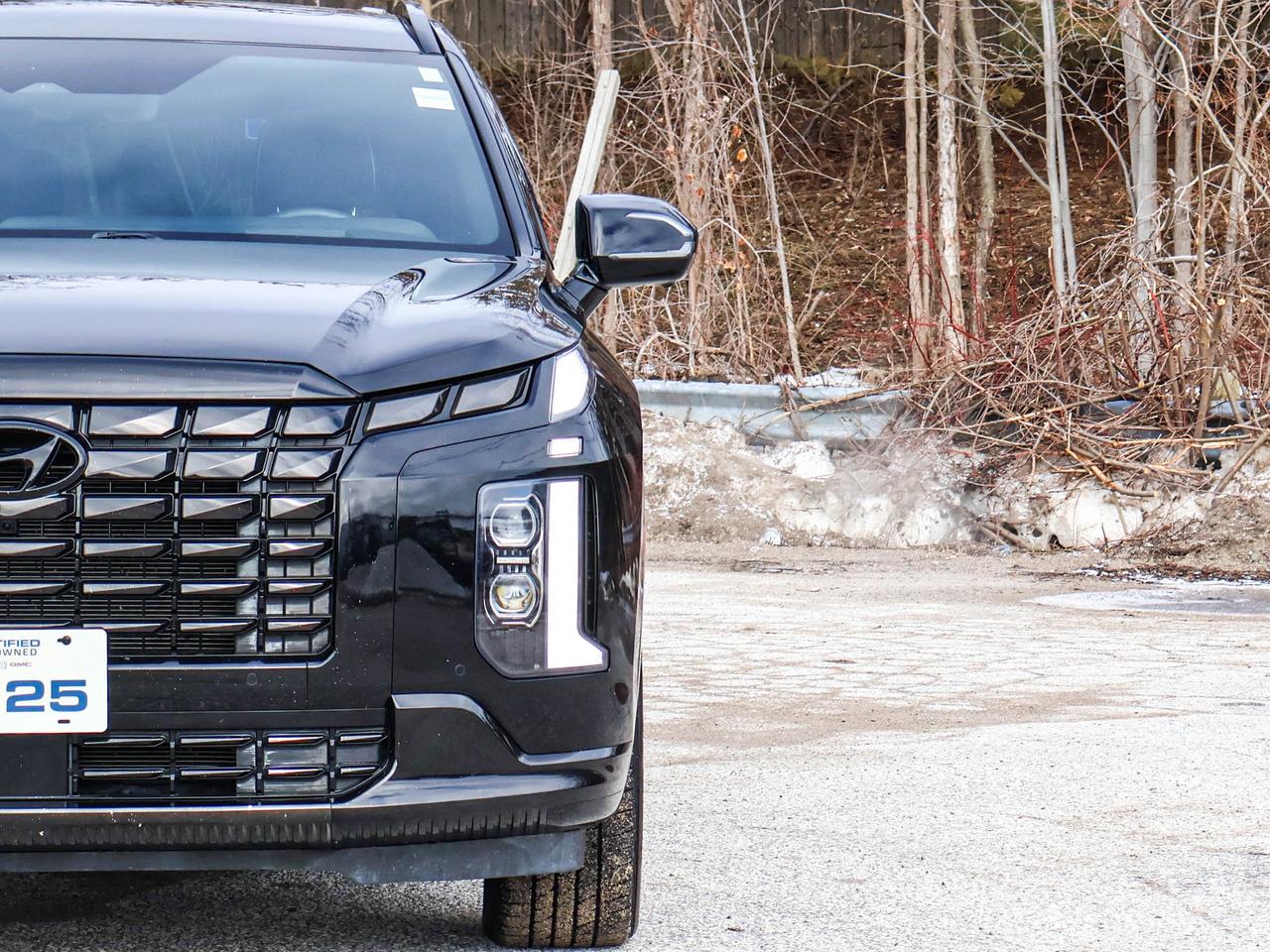 2025 Hyundai PALISADE Ultimate Calligraphy Night Photo