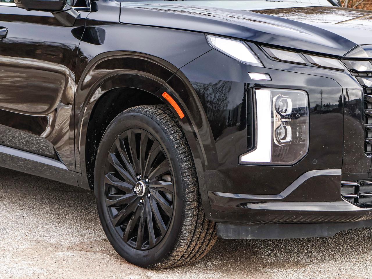 2025 Hyundai PALISADE Ultimate Calligraphy Night Photo3